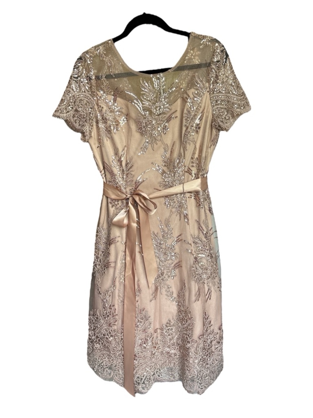 R&M Richards Embroidered Overlay Formal Dress NWOT